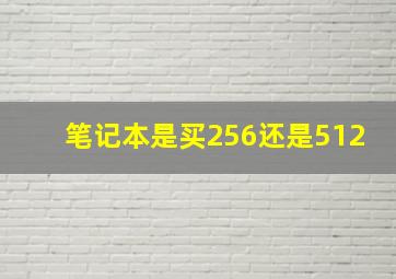 笔记本是买256还是512