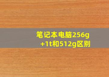 笔记本电脑256g+1t和512g区别