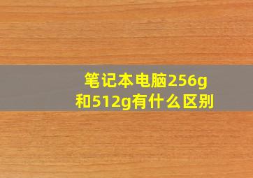 笔记本电脑256g和512g有什么区别