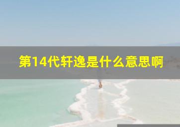 第14代轩逸是什么意思啊