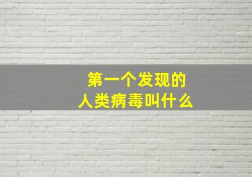 第一个发现的人类病毒叫什么