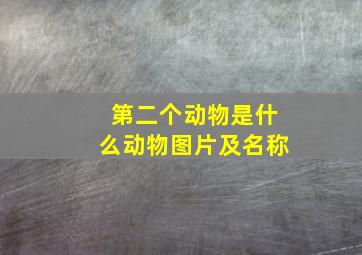 第二个动物是什么动物图片及名称