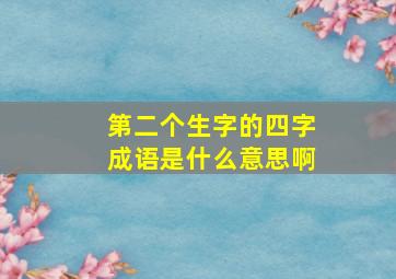 第二个生字的四字成语是什么意思啊