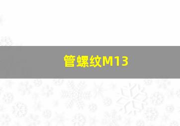 管螺纹M13