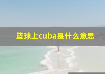 篮球上cuba是什么意思