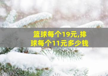 篮球每个19元,排球每个11元多少钱