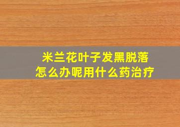 米兰花叶子发黑脱落怎么办呢用什么药治疗