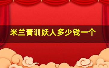 米兰青训妖人多少钱一个