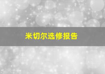 米切尔选修报告