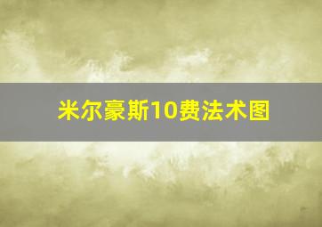 米尔豪斯10费法术图