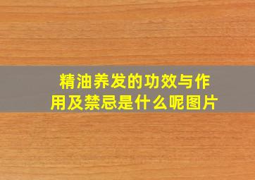 精油养发的功效与作用及禁忌是什么呢图片