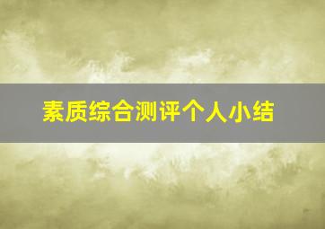 素质综合测评个人小结