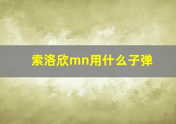 索洛欣mn用什么子弹