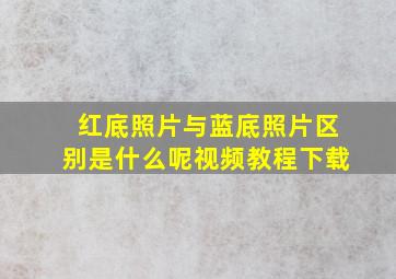 红底照片与蓝底照片区别是什么呢视频教程下载