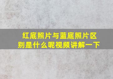 红底照片与蓝底照片区别是什么呢视频讲解一下