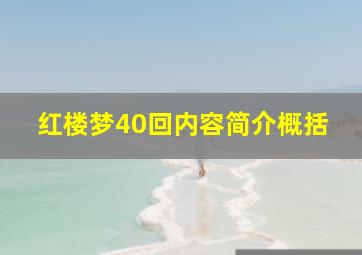 红楼梦40回内容简介概括