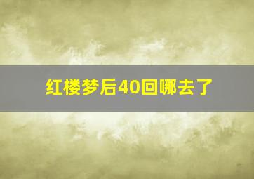 红楼梦后40回哪去了