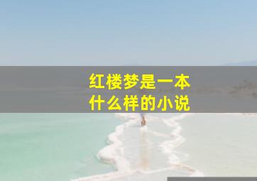 红楼梦是一本什么样的小说