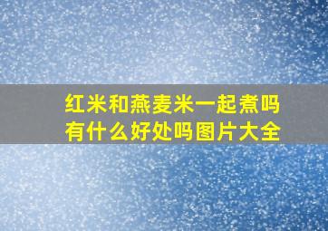 红米和燕麦米一起煮吗有什么好处吗图片大全