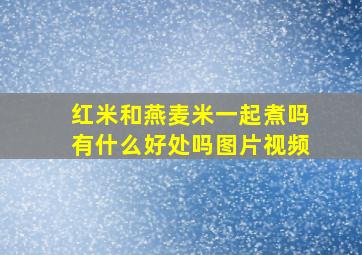 红米和燕麦米一起煮吗有什么好处吗图片视频