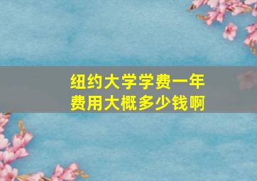 纽约大学学费一年费用大概多少钱啊