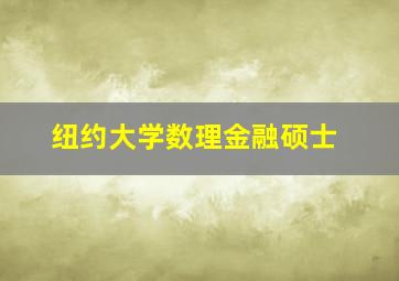 纽约大学数理金融硕士