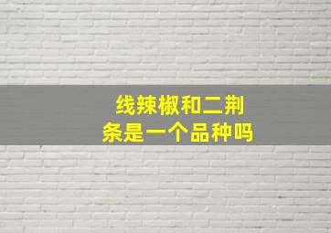 线辣椒和二荆条是一个品种吗