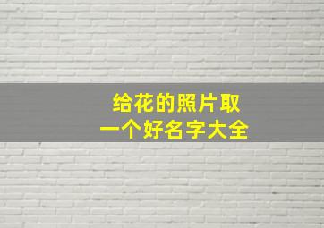 给花的照片取一个好名字大全