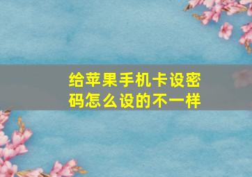 给苹果手机卡设密码怎么设的不一样