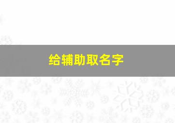 给辅助取名字