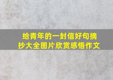 给青年的一封信好句摘抄大全图片欣赏感悟作文