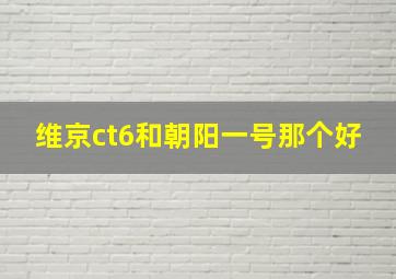 维京ct6和朝阳一号那个好