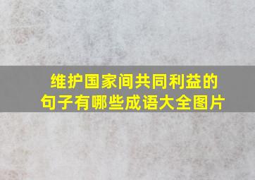 维护国家间共同利益的句子有哪些成语大全图片