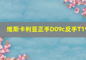 维斯卡利亚正手D09c反手T19