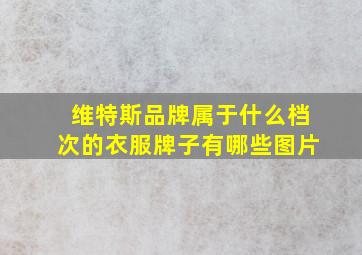 维特斯品牌属于什么档次的衣服牌子有哪些图片