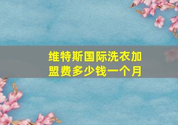 维特斯国际洗衣加盟费多少钱一个月