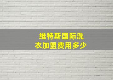 维特斯国际洗衣加盟费用多少