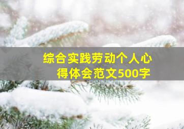 综合实践劳动个人心得体会范文500字