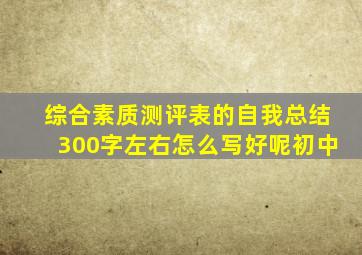 综合素质测评表的自我总结300字左右怎么写好呢初中