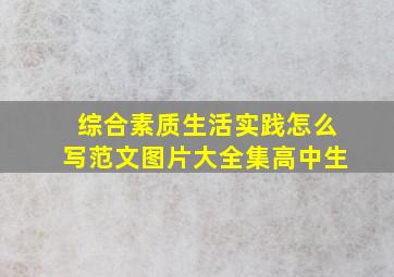 综合素质生活实践怎么写范文图片大全集高中生