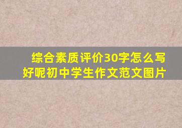 综合素质评价30字怎么写好呢初中学生作文范文图片