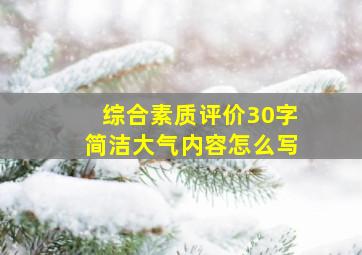 综合素质评价30字简洁大气内容怎么写