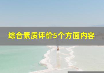 综合素质评价5个方面内容