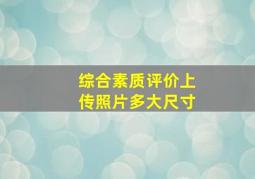 综合素质评价上传照片多大尺寸