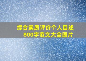 综合素质评价个人自述800字范文大全图片