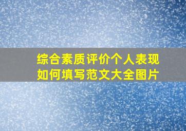 综合素质评价个人表现如何填写范文大全图片