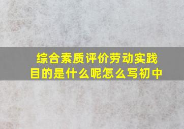 综合素质评价劳动实践目的是什么呢怎么写初中