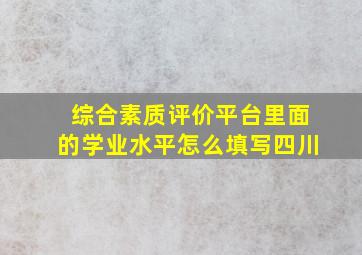 综合素质评价平台里面的学业水平怎么填写四川