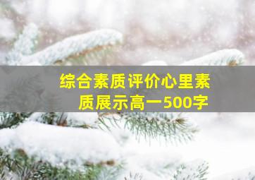 综合素质评价心里素质展示高一500字