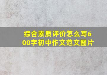 综合素质评价怎么写600字初中作文范文图片